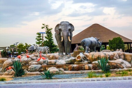 Dubai Safari Park: tickets, timetables and useful information for the ...