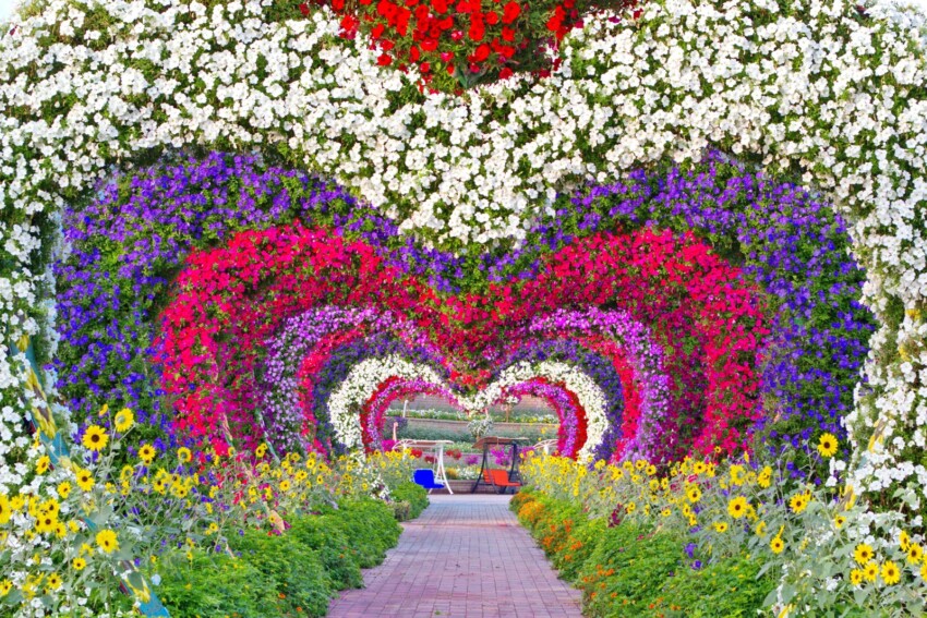 Dubai Miracle Garden