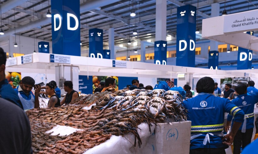 Marché aux poissons de Dubaï